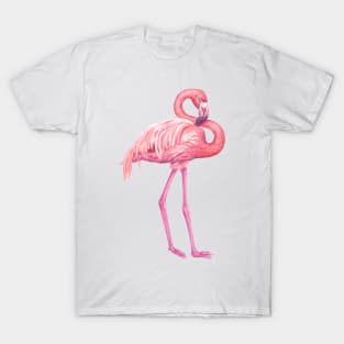 Flamingo T-Shirt